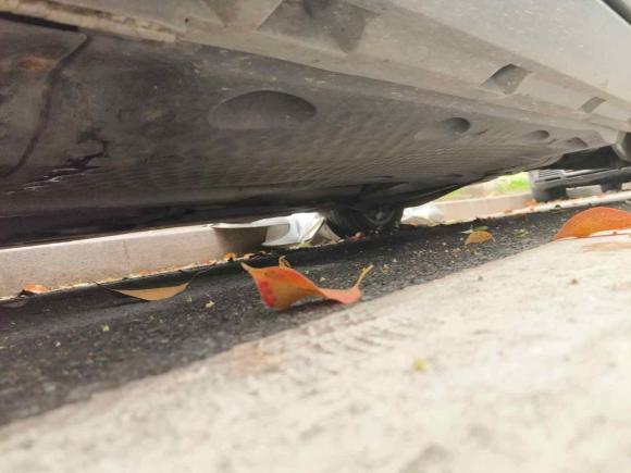 [温州·浙C] 二手大众迈腾2009款 1.8TSI DSG舒适型