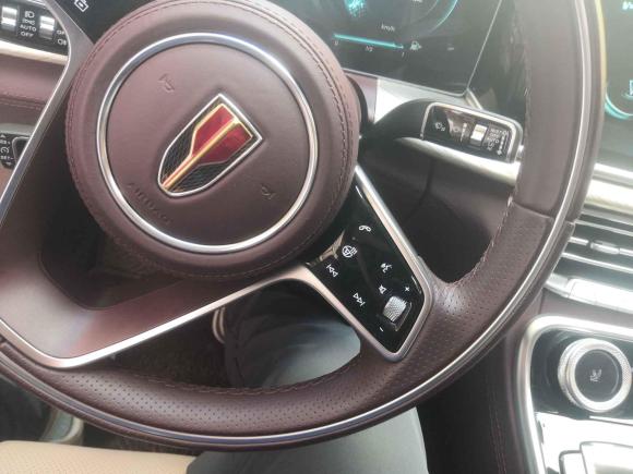 [杭州·浙A] 二手红旗红旗H92020款 改款 2.0T 智联旗畅版