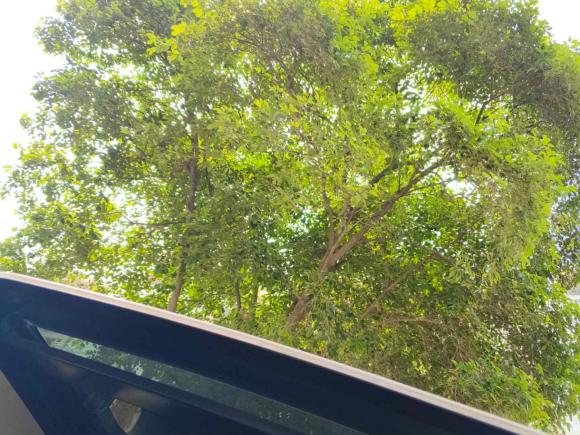 [南京·苏L] 二手奥迪奥迪Q32017款 35 TFSI quattro 全时四驱风尚型