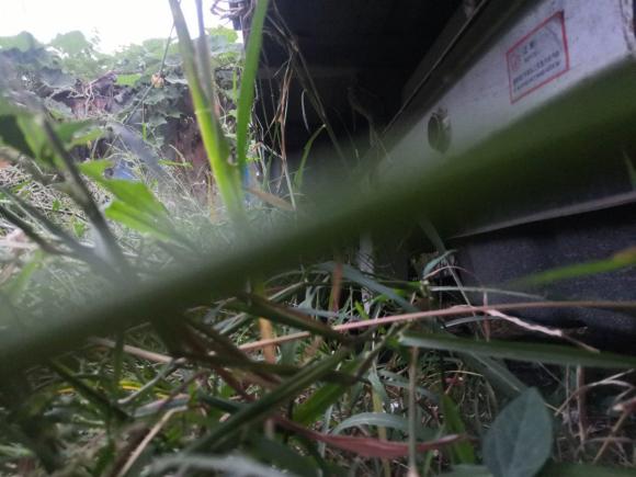 [杭州·浙A] 二手东风小康东风小康K012018款 1.2L K01L DK12