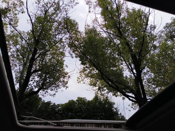 [义乌·浙G] 二手三菱帕杰罗2011款 3.0L 精英版