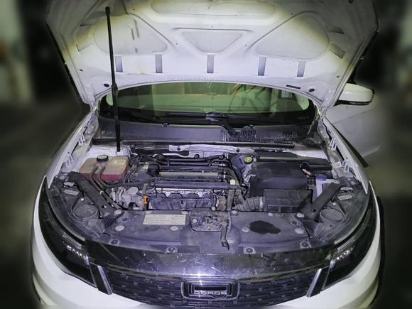 [成都·川G] 二手观致观致32018款 三厢 1.6L 自动领先型