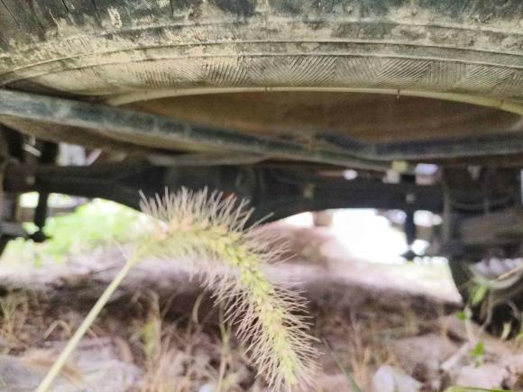 [义乌·鲁V] 二手长安跨越跨越星V72022款 1.6L汽油舒适型5座背掀门DAM16KR