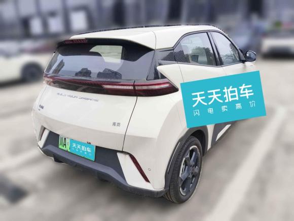 [成都·川A] 二手比亚迪海鸥2023款 飞翔版