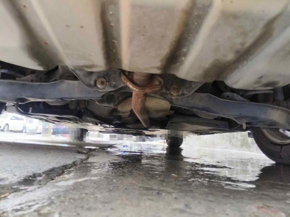 [合肥·皖A] 二手马自达马自达3 昂克赛拉2016款 三厢 1.5L 自动舒适型