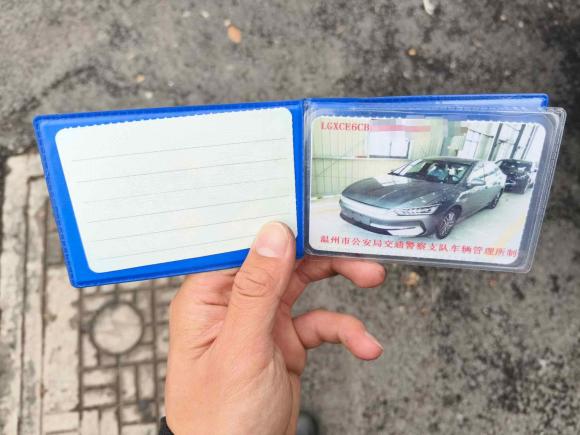 [温州·浙C] 二手比亚迪秦PLUS2021款 EV 500KM 豪华型