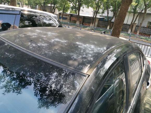 [苏州·苏E] 二手本田凌派2013款 1.8L 手动舒适版