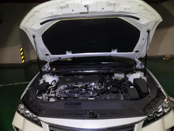 [嘉兴·浙F] 二手丰田亚洲龙2019款 双擎 2.5L 豪华版 国VI