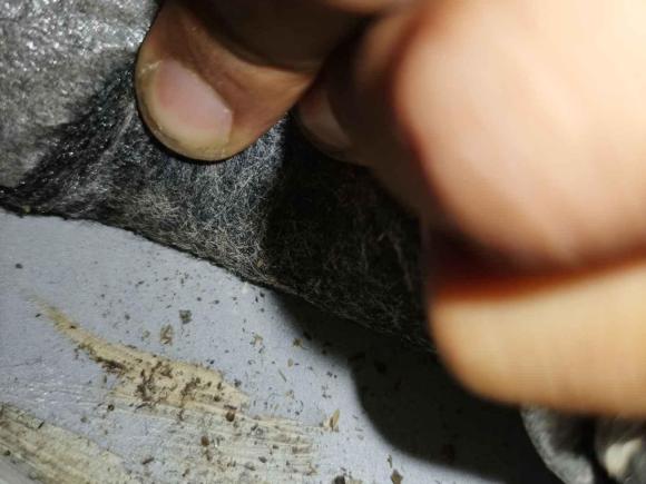 [佛山·粤A] 二手五菱汽车宏光MINIEV2020款 自在款 三元锂