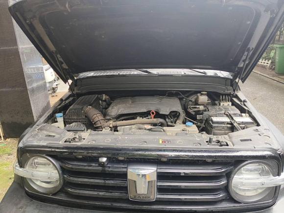 [武汉·鄂A] 二手坦克坦克3002021款 越野版 2.0T 挑战者