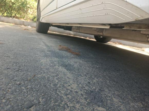 [青岛·鲁B] 二手比亚迪比亚迪e22019款 标准续航版 智·舒适型