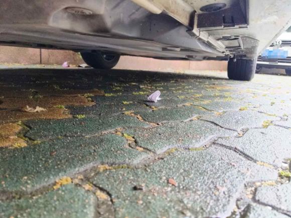 [武汉·鄂A] 二手丰田雷凌2023款 智能电混双擎 1.8L 领先版