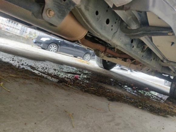 [广州·粤A] 二手长城炮2019款 2.0T自动汽油四驱舒适版GW4C20B