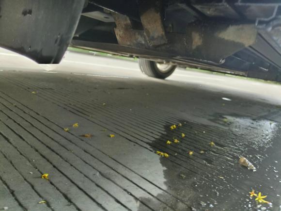 [温州·皖A] 二手英菲尼迪英菲尼迪QX502018款 2.0T 四驱菁英版