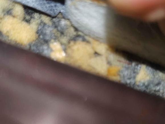 [广州·粤A] 二手丰田皇冠2005款 3.0L Royal Saloon