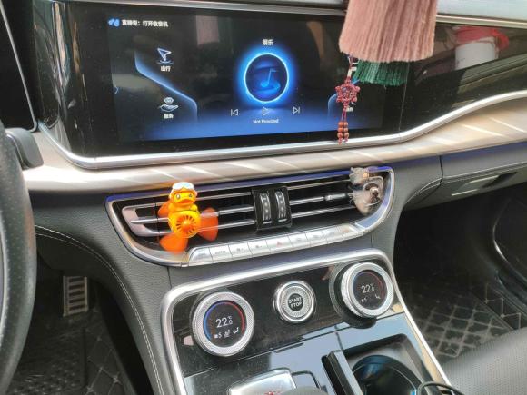 [南京·苏A] 二手红旗红旗H92020款 2.0T 智联旗享版