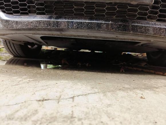 [广州·苏J] 二手马自达马自达62013款 2.0L 自动时尚型