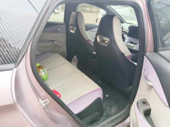 [济南·鲁A] 二手比亚迪海豚2021款 405km 时尚版