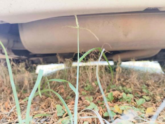 [嘉兴·浙H] 二手宝马宝马3系2013款 320Li 时尚型