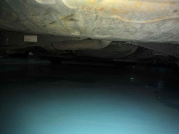 [温州·浙C] 二手大众高尔夫2011款 1.6 手动时尚型