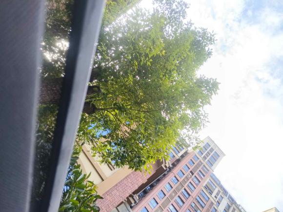 [上海·沪E] 二手奔驰奔驰GLA AMG2017款 AMG GLA 45 4MATIC 暗夜雷霆限量版