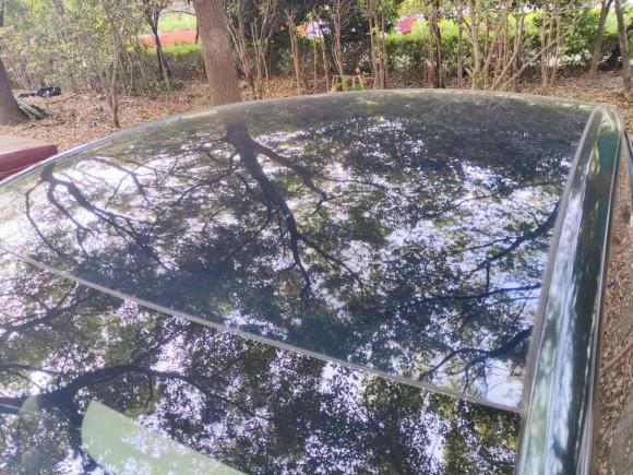 [湖州·浙E] 二手特斯拉Model Y2022款 长续航全轮驱动版