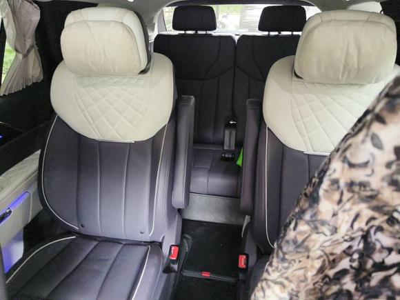 [上海·沪A] 二手红旗红旗E-HS92021款 510km 旗畅版 六座