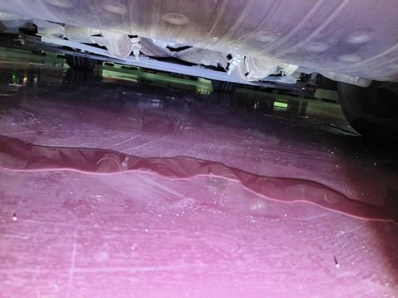 [上海·鲁A] 二手捷豹捷豹F-TYPE2021款 P300 后驱硬顶版