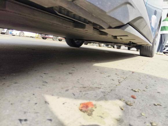 [上海·沪A] 二手比亚迪海豚2021款 401km 骑士版