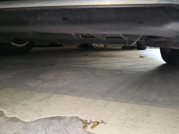 [苏州·苏U] 二手大众一汽-大众CC2019款 330TSI 魅颜版 国VI