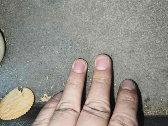 [无锡·苏B] 二手五菱汽车五菱宏光2019款 1.5L S标准型国VI LAR