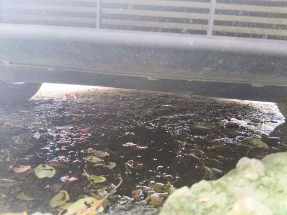 [义乌·浙D] 二手本田思域2016款 220TURBO CVT尊贵版