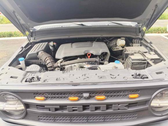 [济南·鲁A] 二手坦克坦克3002021款 越野版 2.0T 挑战者