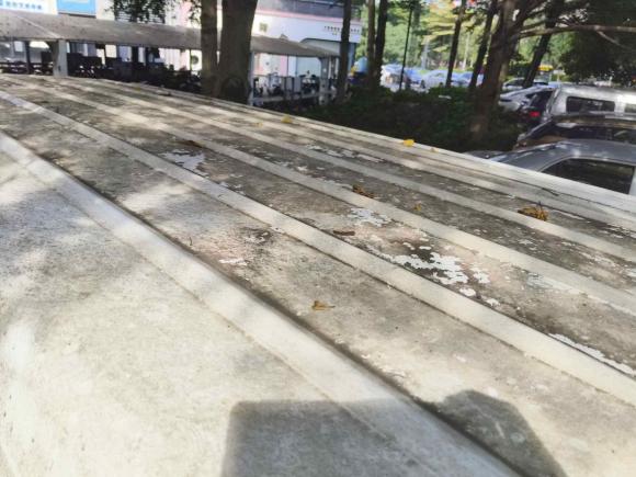 [佛山·粤A] 二手SRM鑫源SRM鑫源新能源海狮EV2018款 EV300创富型