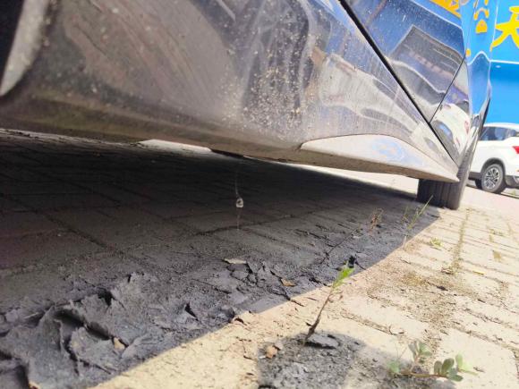 [南京·苏L] 二手奔驰奔驰C级2022款 C 200 L 运动版