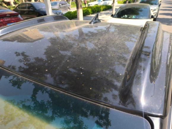 [西安·陕A] 二手宝骏宝骏E1002017款 智享版