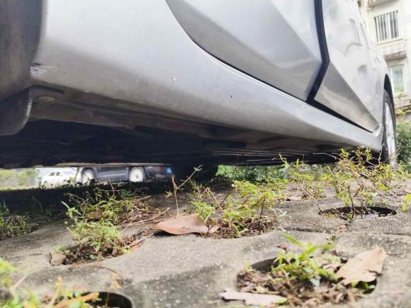 [南京·苏A] 二手马自达马自达3星骋2012款 两厢 1.6L 自动精英型