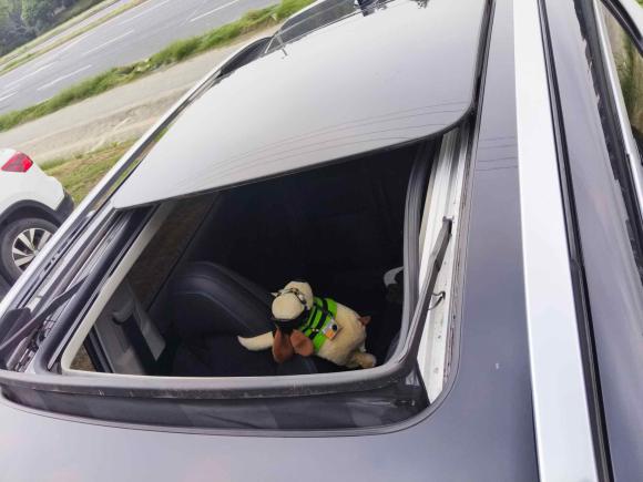 [无锡·苏B] 二手领克领克01新能源2018款 1.5T PHEV 劲Pro 国V