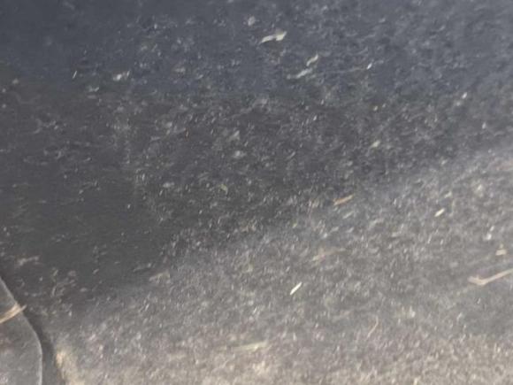 [宁波·浙B] 二手红旗红旗H52020款 1.5T DCT旗韵版