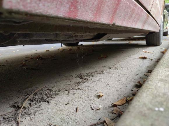 [上海·沪F] 二手大众Polo2019款 Plus 1.5L 自动炫彩科技版