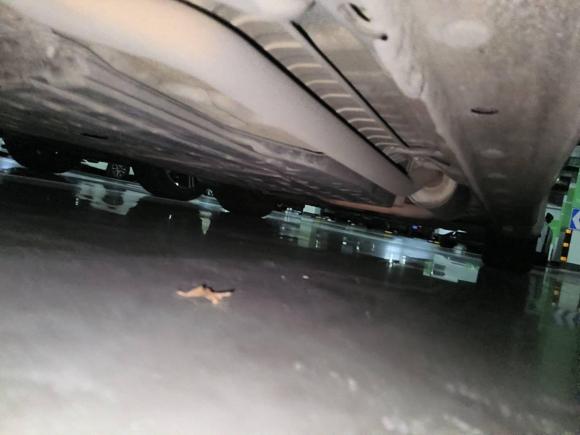 [成都·川A] 二手本田凌派2013款 1.8L 自动旗舰版