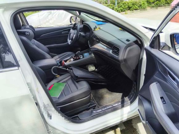 [芜湖·皖B] 二手哈弗哈弗F7x2021款 1.5T 两驱极智潮玩版