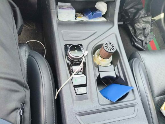 [苏州·苏E] 二手威马汽车威马E.52021款 500 即客行