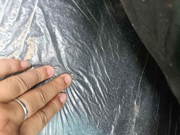 [合肥·皖A] 二手比亚迪比亚迪F32018款 1.5L 手动经典型