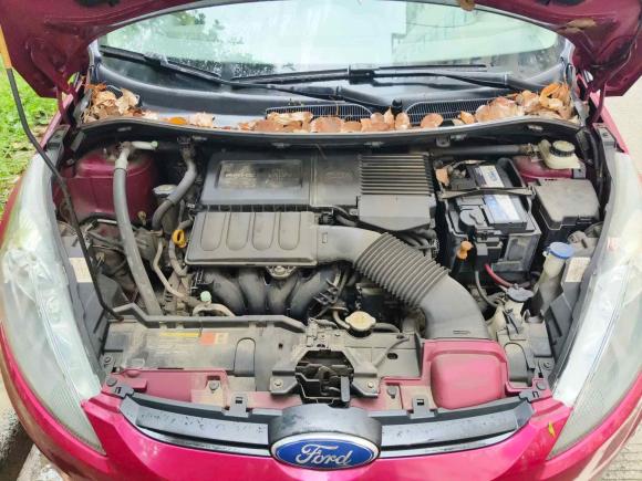 [南通·苏F] 二手福特嘉年华2011款 两厢 1.5L 自动时尚型