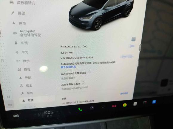 [上海·沪A] 二手特斯拉Model X2023款 双电机全轮驱动版