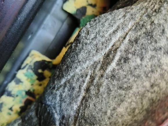 [成都·川A] 二手丰田威驰2014款 1.5L 手动智尚版