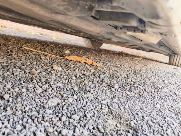 [济南·鲁A] 二手奔驰奔驰C级2017款 C 200 运动版