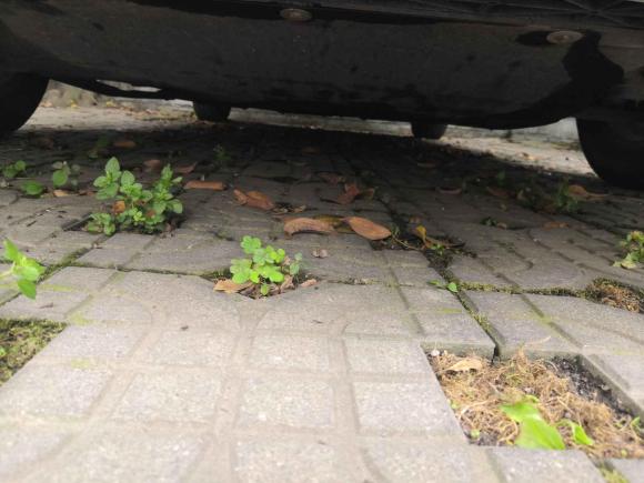 [成都·川A] 二手长安锐程CC2020款 1.5T 自动炫锐型