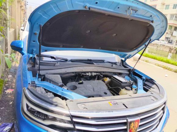 [温州·浙C] 二手荣威荣威RX5 MAX2019款 300TGI 自动4G互联豪华版